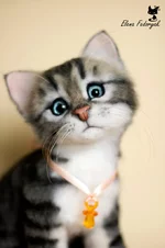 z_1ddc2991.webp