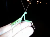 Photo0151.webp