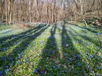 IMG_20240331_163017_HDR.webp