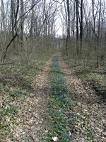 IMG_20240401_141917.webp