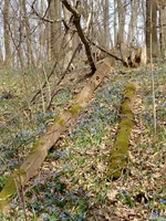 IMG_20240401_140214.webp