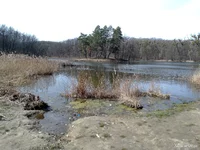 IMG_20240401_120925.webp
