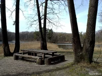 IMG_20240401_121217.webp
