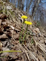 IMG_20240401_115006.webp