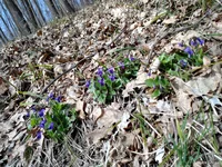 IMG_20240401_114846.webp