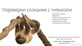 16298408_1240349536002077_6635531978160965001_n.webp