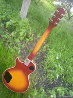 IMG_20240429_190008.jpg