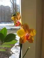 IMG_0242.jpg