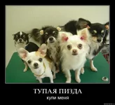 5d5hjkq5llbm.webp