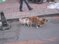 feb_march_2012 034.jpg