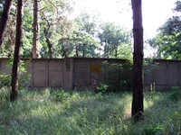 IMG_0002.webp