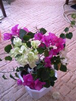 Фото3938.jpg