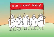 .webp