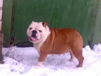 150320093464.webp