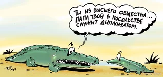 1666081198192590652.webp
