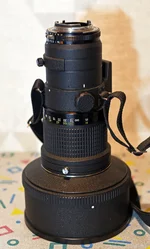 DSC_9851.webp