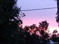 IMG_20240614_204454~2.webp