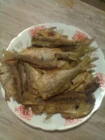 13032012046[1].webp