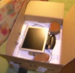 P3140038_cr.webp