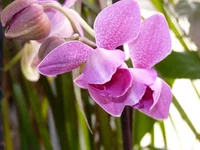  014.webp