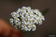 IMG_20240630_103431_232.webp