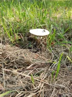 IMG_20240705_174025.webp