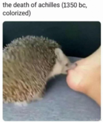 1720391209934.png