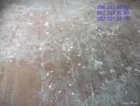 DSCF2938.webp