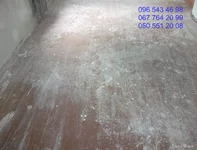 DSCF2939.webp