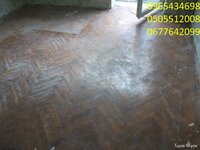 DSCF5674.JPG