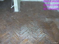 DSCF5675.webp