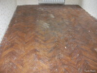 DSCF5677.JPG