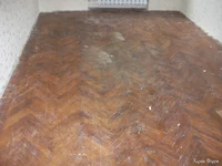 DSCF5677.webp