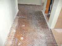 DSCF5679.webp