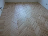 DSCF6003.webp