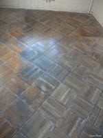 DSCF6606.webp
