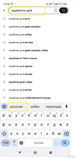 .webp