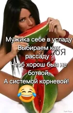 1721610625391.webp