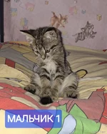 1000023560.webp