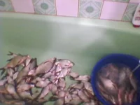 SPM_A0151.webp