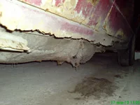 DSC00755.webp