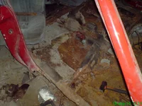 DSC00942.webp