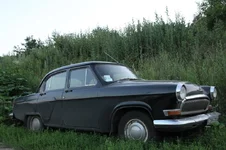 IMG_9791_resize.webp