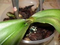 DSC00408_resize.webp