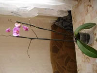 DSC00411_resize.webp