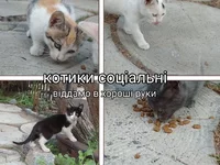 зображення__2024-08-09_21-44-06-092.jpg