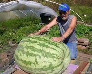 241887977_1462404344092428_717909828925684264_n.webp