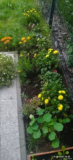IMG_20240818_084831_compress70.jpg
