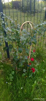 IMG_20240818_084739_compress32.jpg