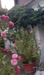 _20240818_104018.webp